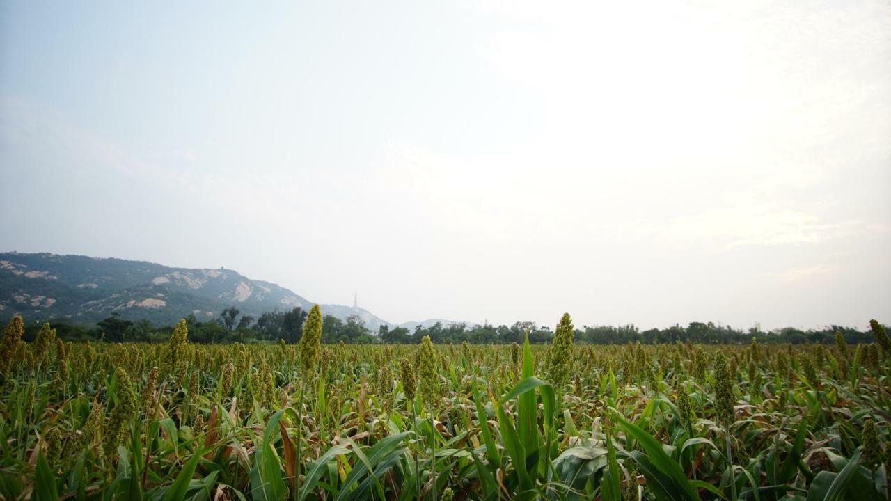 金門廣緣民宿 Guang Yuan B&B Jinsha ภายนอก รูปภาพ