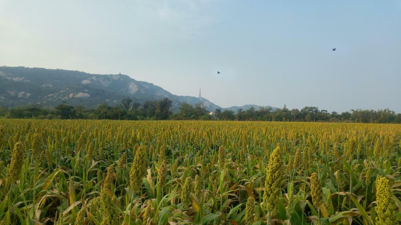 金門廣緣民宿 Guang Yuan B&B Jinsha ภายนอก รูปภาพ